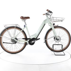 Bulls Sturmvogel EVO 5F Belt City E-Bike Tiefeinsteiger