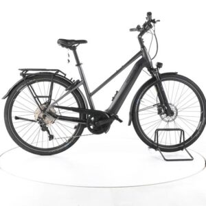 Pegasus Premio EVO 10 Lite Trekking E-Bike