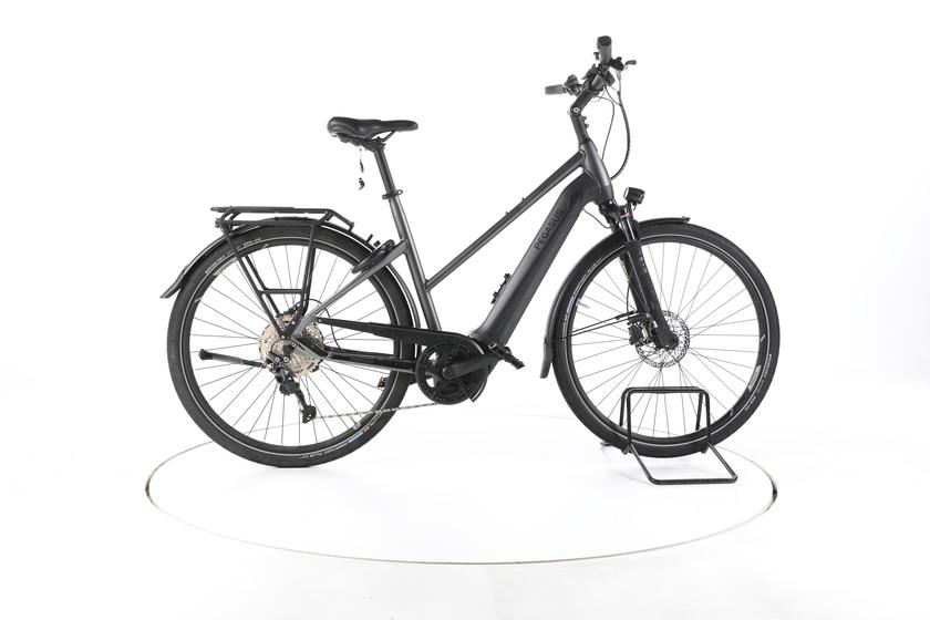 Pegasus Premio EVO 10 Lite Trekking E-Bike