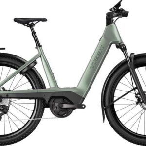 Trek Charter+ 4 Trail 800Wh Lowstep - M