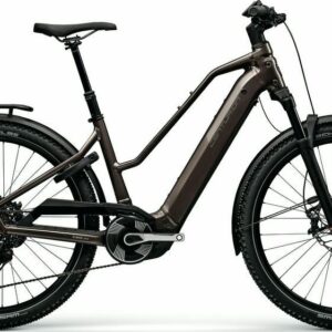 E-Bike Centurion Country R2000 T 2026 L_Grau frei Haus