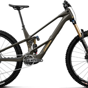 Orbea Wild LT M-TEAM RS - 2027 - Magic Gold C. View (Matt) - Titan Gold (Gloss) | S