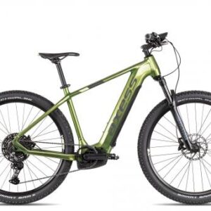 Axess Element | metallic olive/dark grey | 19 Zoll | E-Hardtail-Mountainbikes