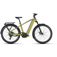 Kalkhoff ENTICE 5+ MOVE - 29 Zoll 800Wh 9K Diamant - meadowgreen matt/ darkmeadowgreen matt