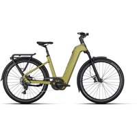 Kalkhoff ENTICE 5+ MOVE - 29 Zoll 800Wh 9K Wave - meadowgreen matt/ darkmeadowgreen matt