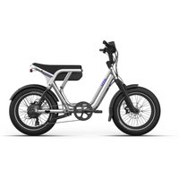 UTO OG200 - 20 Zoll 720Wh 7K Lastenrad - Metallic Silber