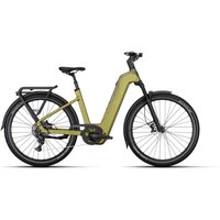 Kalkhoff ENTICE 5+ MOVE - 29 Zoll 800Wh 9K Wave - meadowgreen matt/ darkmeadowgreen matt