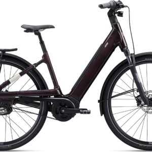 Liv Allure E+ 1 - 2024 - Rosewood | XS