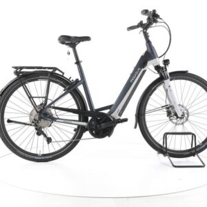 Pegasus Premio Evo 10 Lite Trekking E-Bike Tiefeinsteiger
