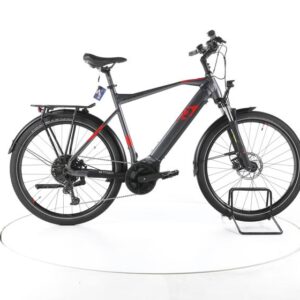 R Raymon TourRay E 6.0 Trekking E-Bike