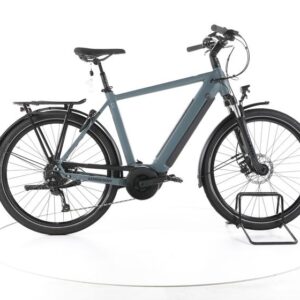 Winora Sinus 9 Trekking E-Bike