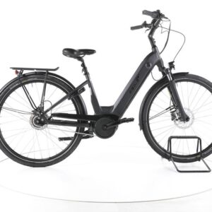 EBIKE City Pro City E-Bike Tiefeinsteiger
