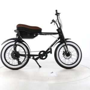 Ruff Cycles LIL'BUDDY E-Fatbikes