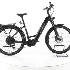 Winora Yucatan X10 Trekking E-Bike Tiefeinsteiger 2024