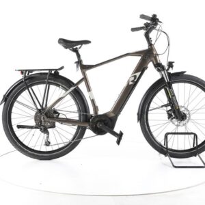 R Raymon TourRayE 5.0 Trekking E-Bike
