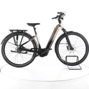 Giant Anytour E+ 3 City E-Bike Tiefeinsteiger 2024