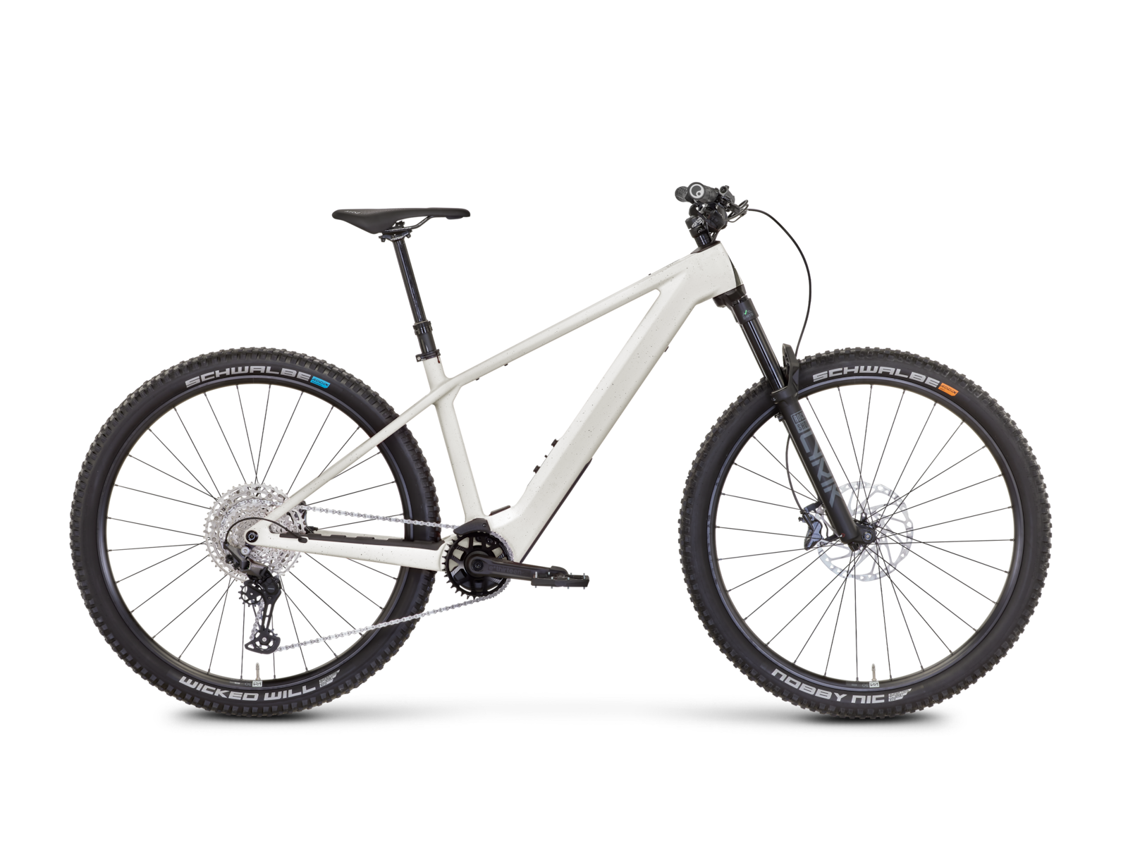 Rose Bonero Plus 1