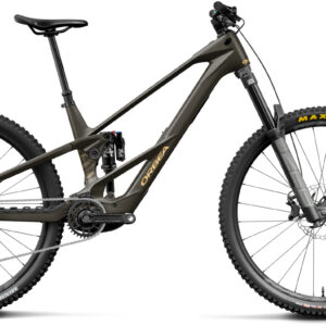 Orbea Wild LT M20 - 2027 - Magic Gold C. View (Matt) - Titan Gold (Gloss) | S
