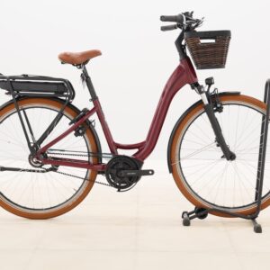 Riese & Müller SWING4 SILENT – 2025 – für Körpergröße 165 - 175 cm
