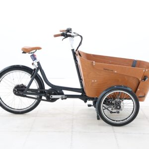 Babboe Carve Mountain – 2022 – für Körpergröße 160 - 190 cm
