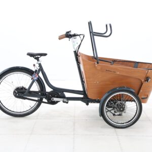 Babboe FLOW MOUNTAIN – 2022 – für Körpergröße 160 - 190 cm