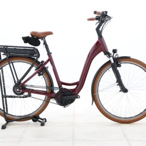 Riese & Müller SWING5 VARIO – 2025 – für Körpergröße 170 - 180 cm