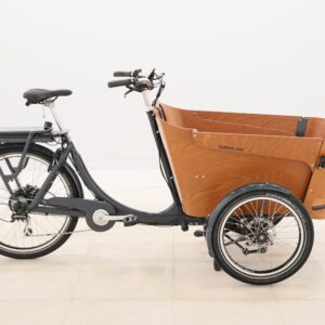 Babboe CARVE E – 2022 – für Körpergröße 160 - 190 cm