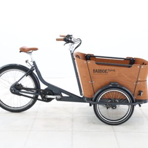 Babboe CURVE MOUNTAIN – 2021 – für Körpergröße 160 - 190 cm