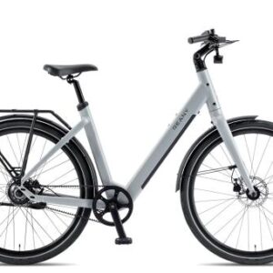 Reany Vivo+ 2027 | fresh grey | unisize | E-Cityräder